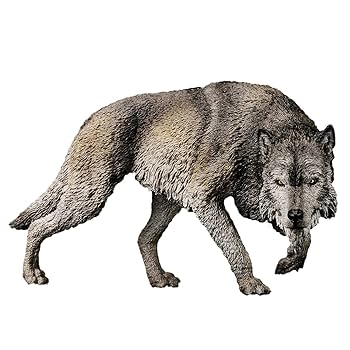 UVERworld ウルフ　フィギュア　狼 Amazon.co.jp: 【未開封】 COOMODEL x 偶之相 1/12フィギュア